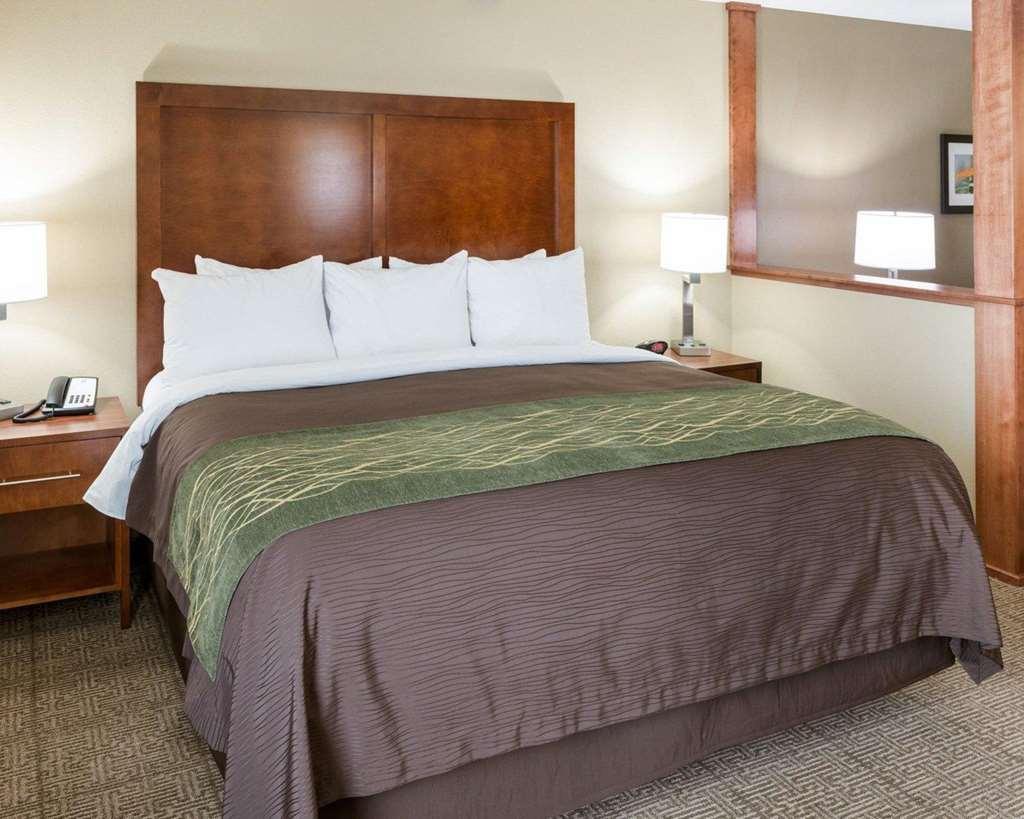 Comfort Inn & Suites West - Medical Center Rochester Cameră foto